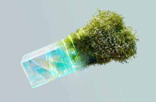 How Tech Startups Are Driving Sustainability
