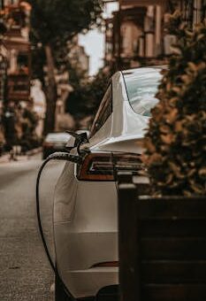 The Impact of Electric Vehicles on the Environment and Cities
